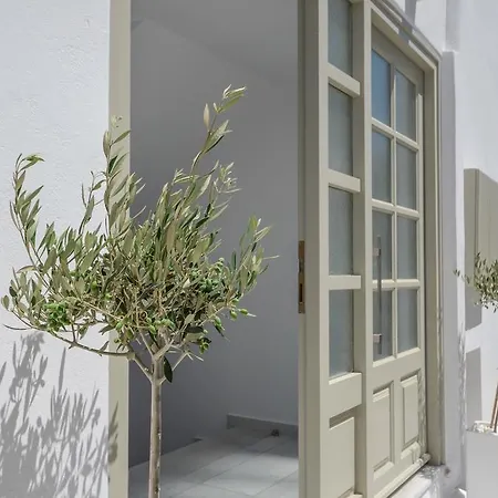 Elegant Apartment